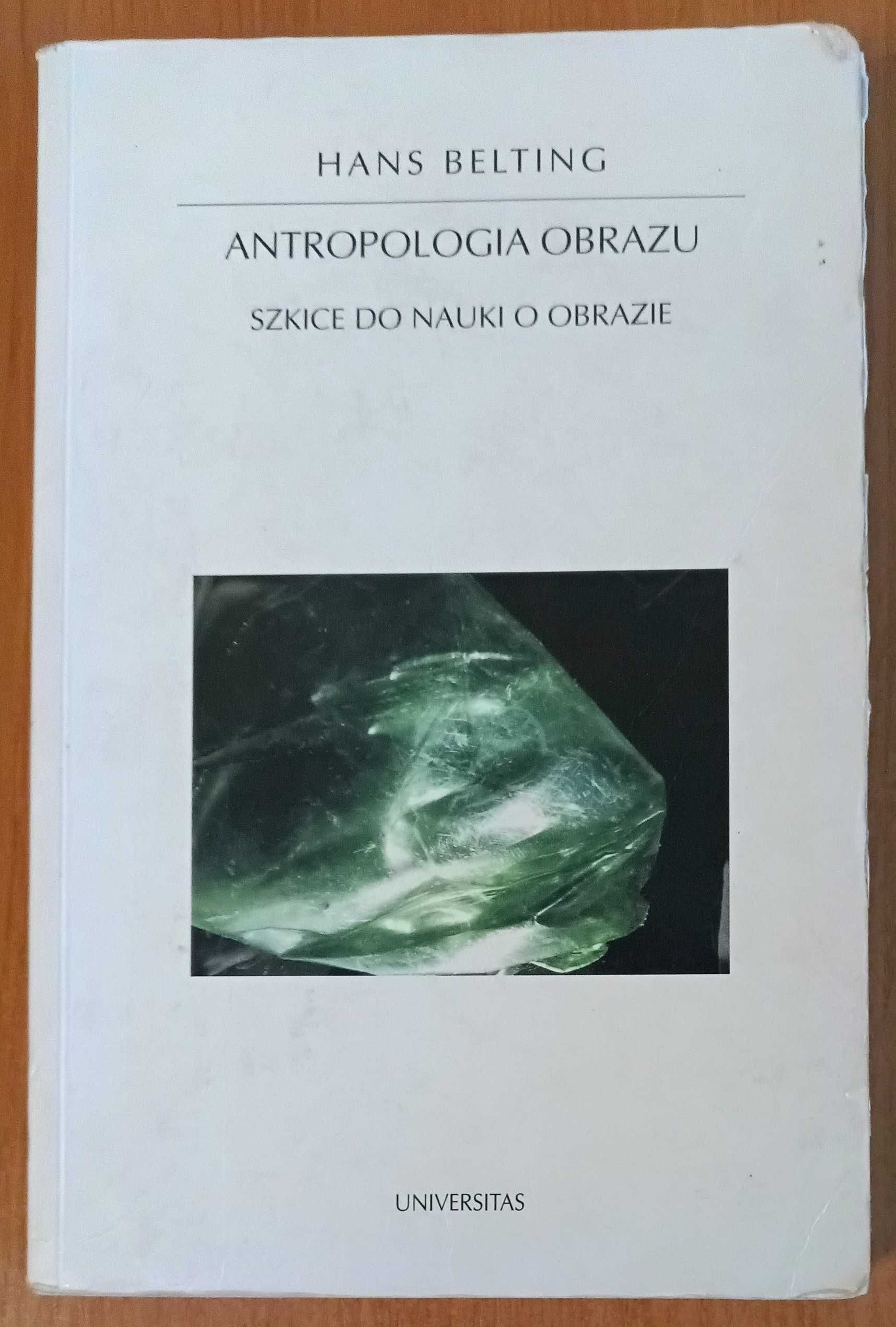 Hans Belting "Antropologia obrazu. Szkice do nauki o obrazie"
