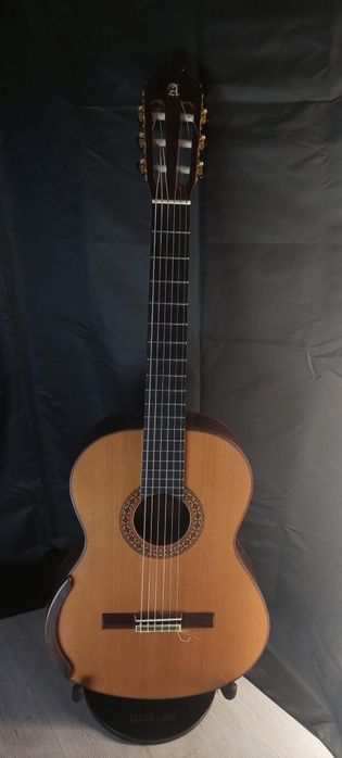 Guitarra Alhambra 8P