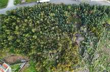 Terreno de 8.663 m² em Arnoso Santa Maria