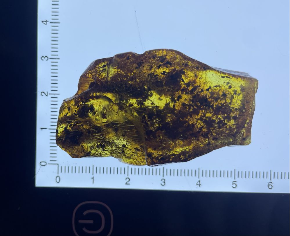 Nowa bryłka naturalnego bursztynu