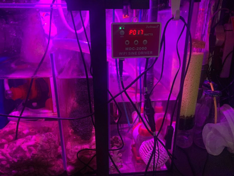 Akwarium morskie 500l optiwhite, szafka, sump, lampy, full osprzęt