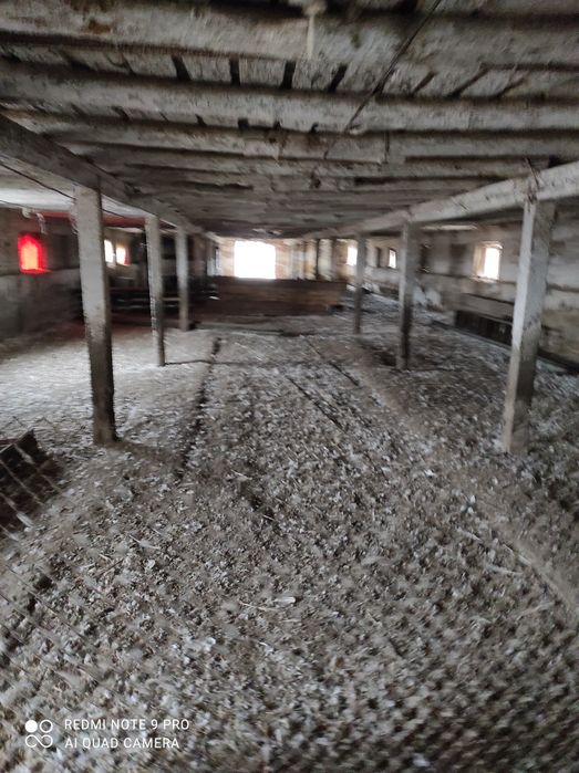 Продам ферму, птичник, телятник в Солонянском районе Днепр