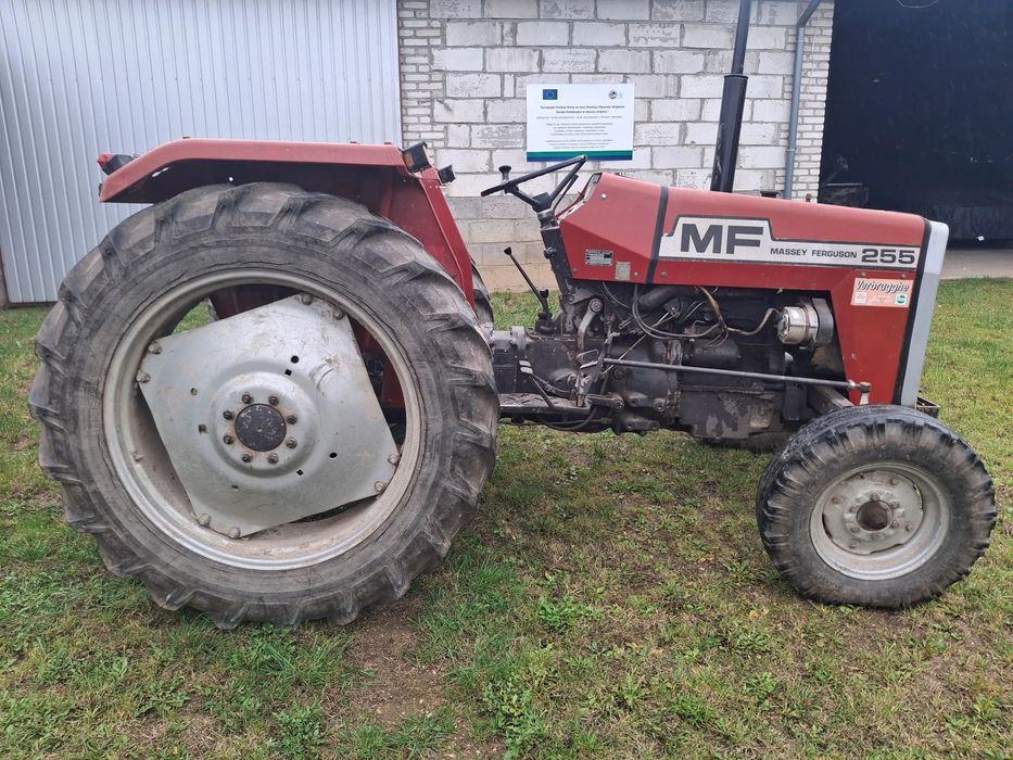 Massey Ferguson 255  Oryginalny anglik Massey Ferguson 255