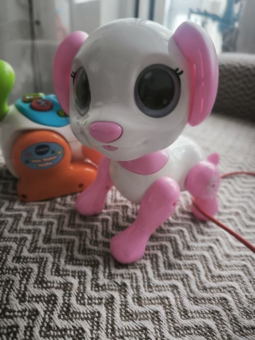 Robô verbaut, dog tou,tou gato de passeio