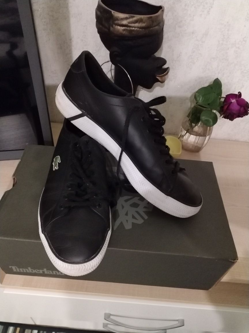 Кеди чоловічі Lacoste.