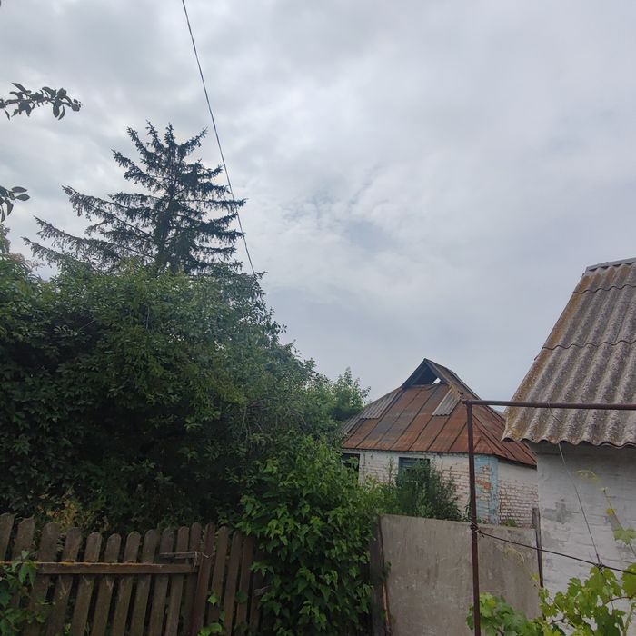 Продам старий будинок з ділянкою в селі Лосятин!