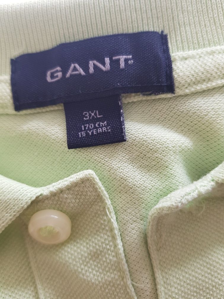 Polo Gant criança