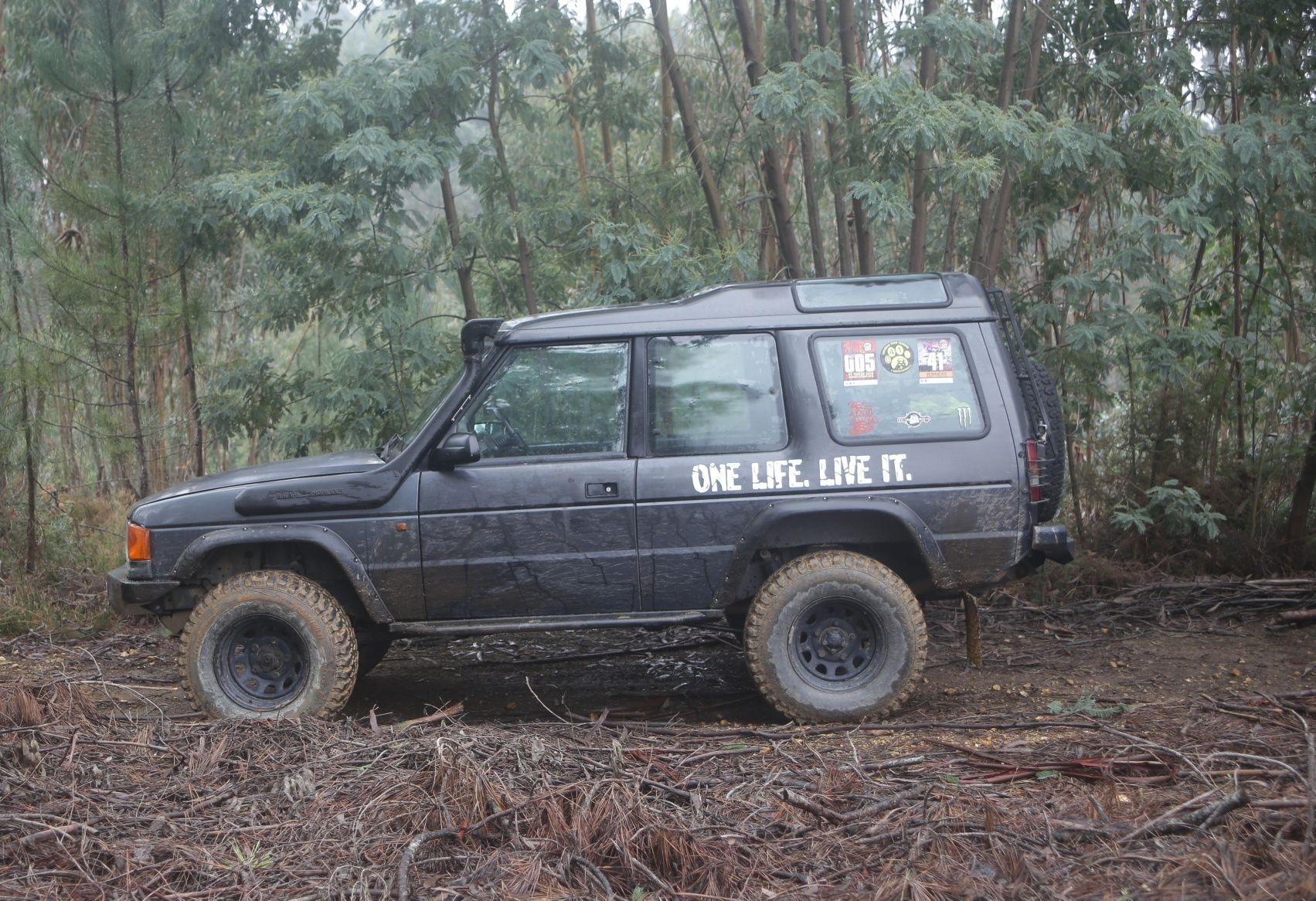 Land Rover Discovery 300 TGV