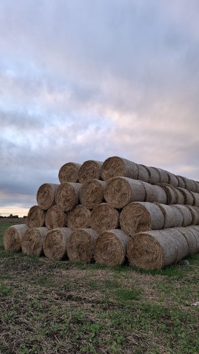 Słoma 2025 bela 120x120