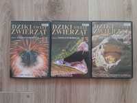Dziki Świat Zwierząt 3 DVD orzeł, wąż, krokodyl
