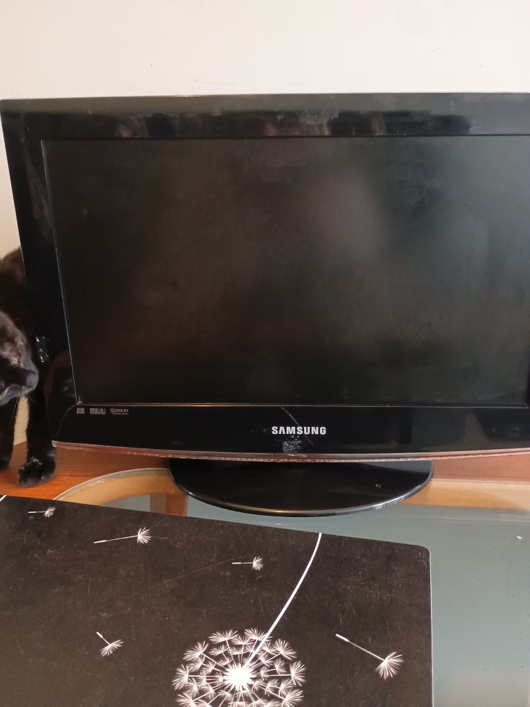 Telewizor Samsung