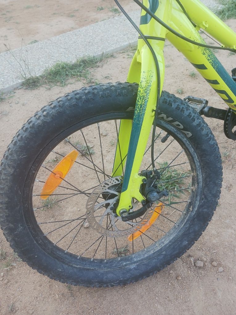Bicicleta júnior Scoot Roxter 20 pneus fat bike