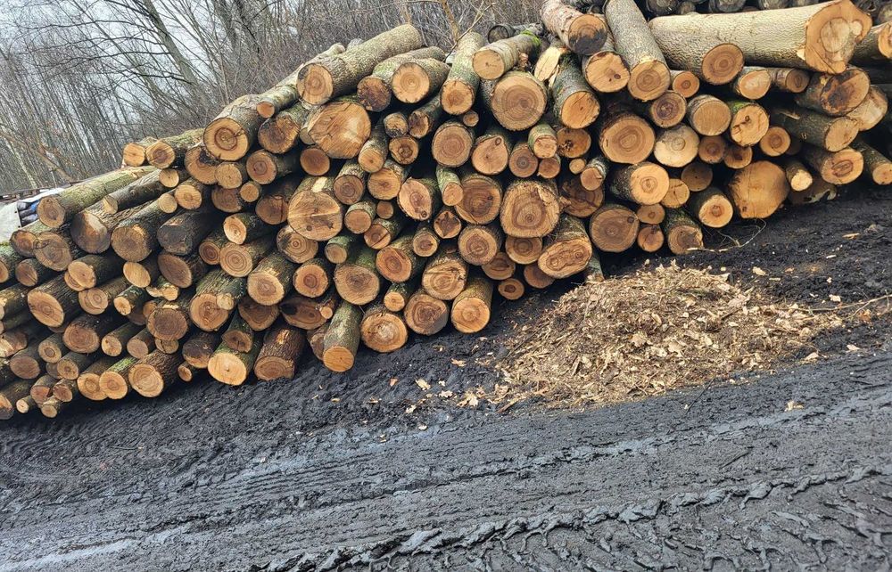 drewno kominkowe opałowe grab dąb brzoza Transport