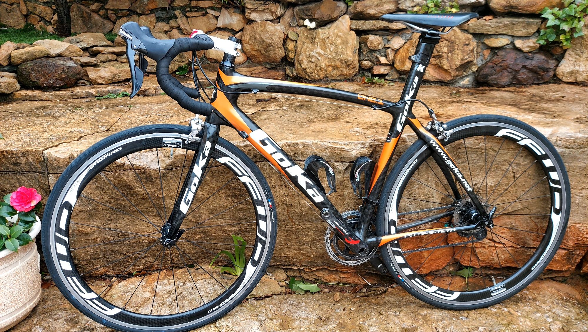 Goka carbono t54