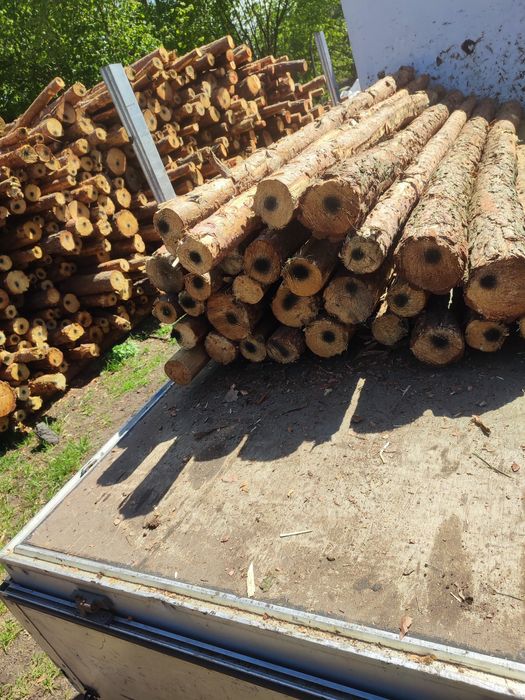 Kołki ogrodzeniowe drewniane, stemple 2,5m, słupki do siatki leśnej