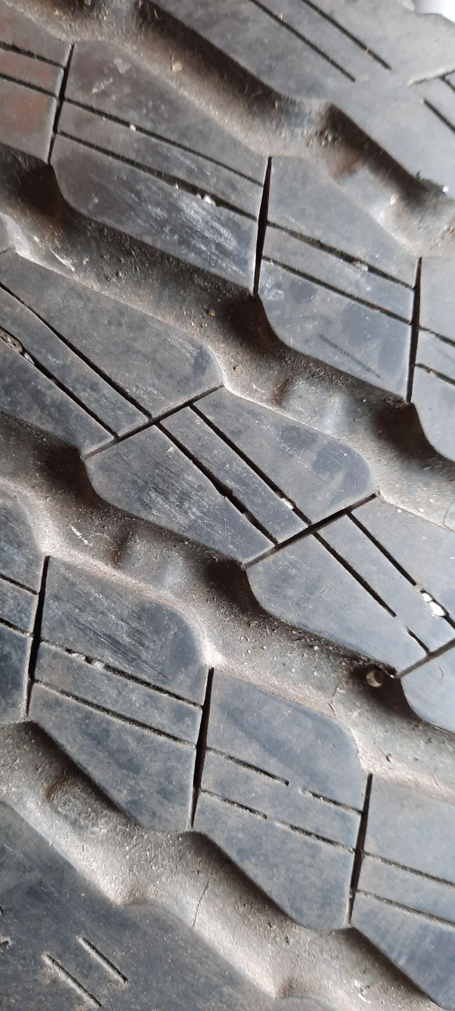 Opona pojedyncza letnia SEMPERIT 205/65R15C