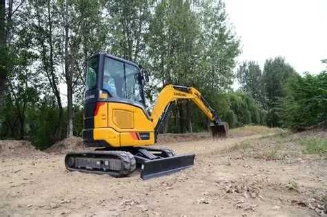 Aluguer de mini giratória 2800Kg