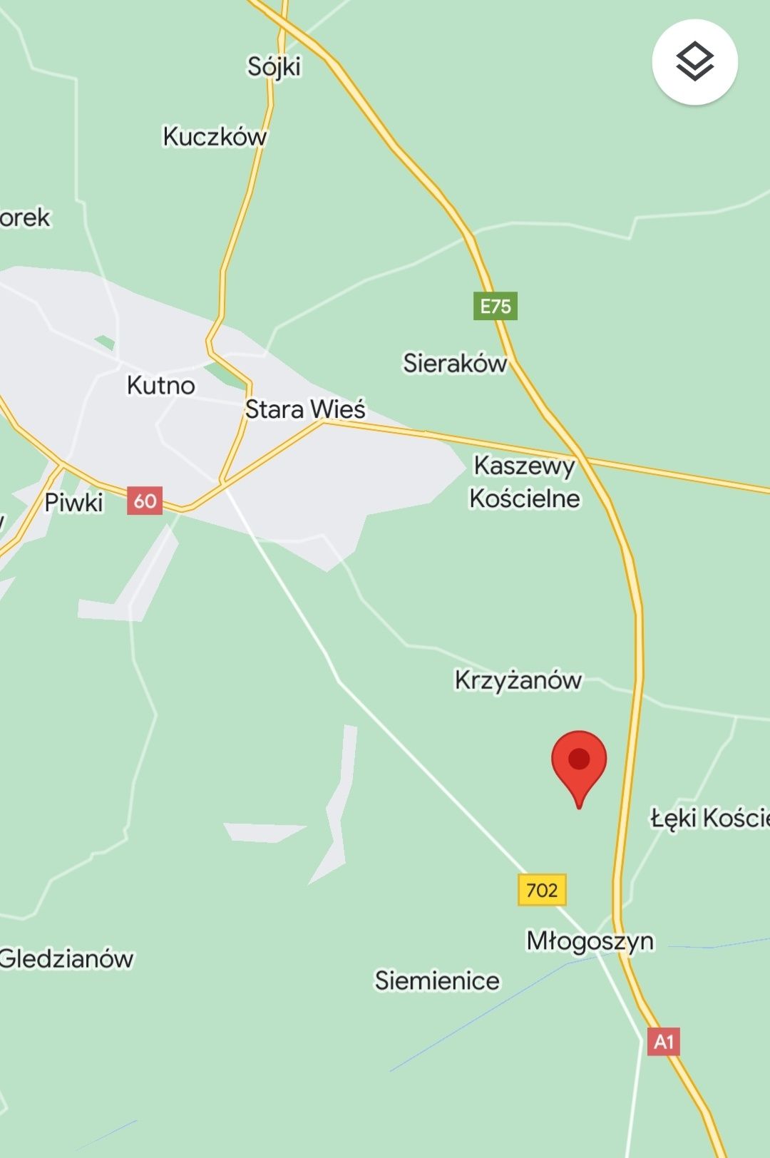 Jodła kaukaska, choinki, prywatna plantacja