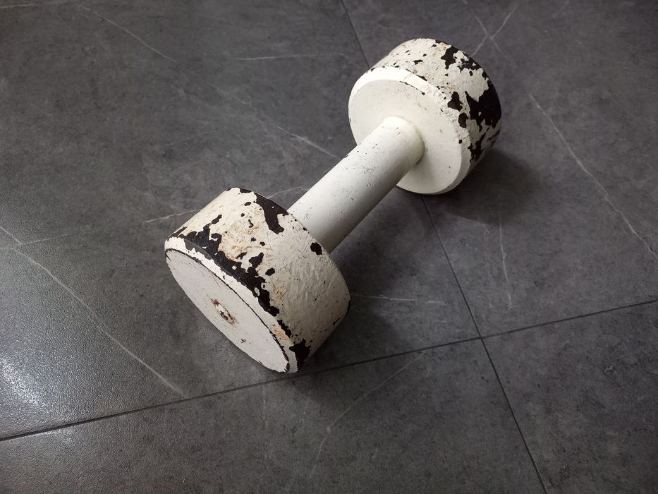 Продам сталеву гантелю 10 кг в Дніпрі