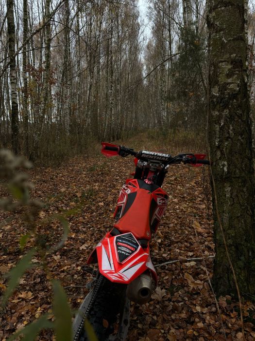 Beta 450 RR Factory