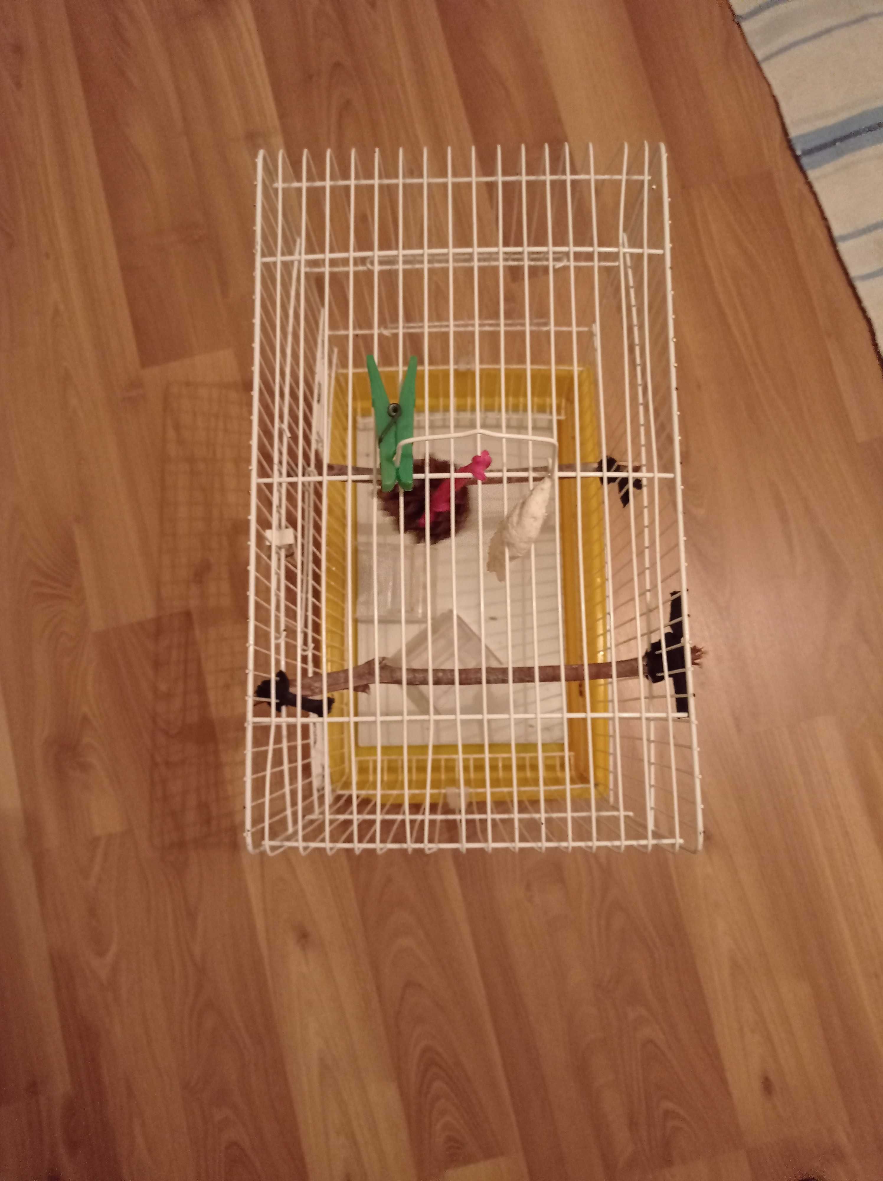 Gaiola Avipar para aves