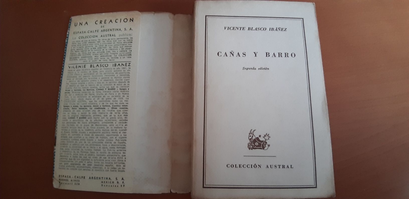 Cañas y Barro de Vicente Blasco Ibañez