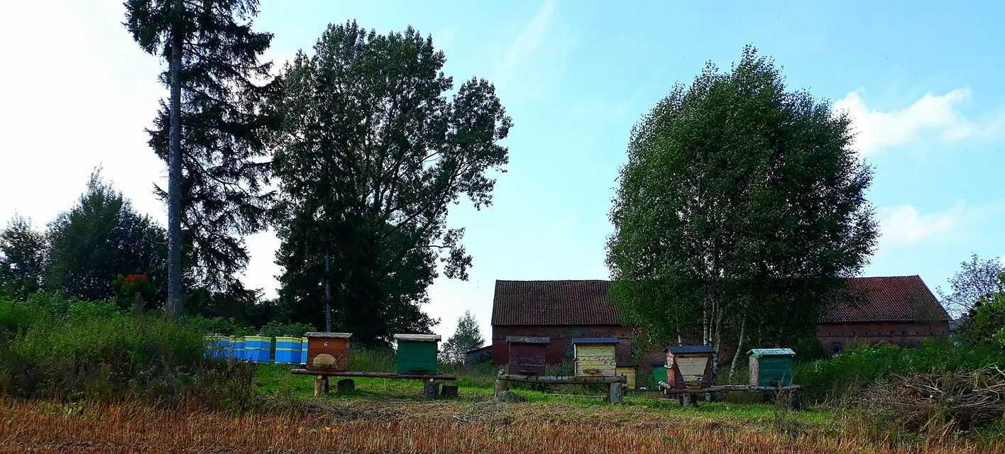 Gospodarstwo siedlisko Mazury