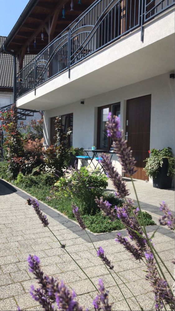 Dziwnów Morza Szum. Pokoje i apartamenty nad morzem