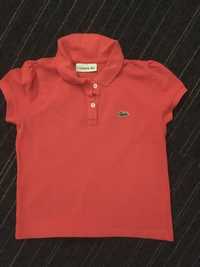 Koszuli polo Ralph Hilfiger Lacoste