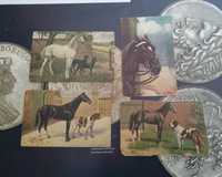 29424#Lote 4 postais antigos (Tema Cavalos)Tuck's post card