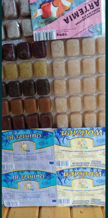 Pokarm mrożony dla ryb akwariowych Wodzień