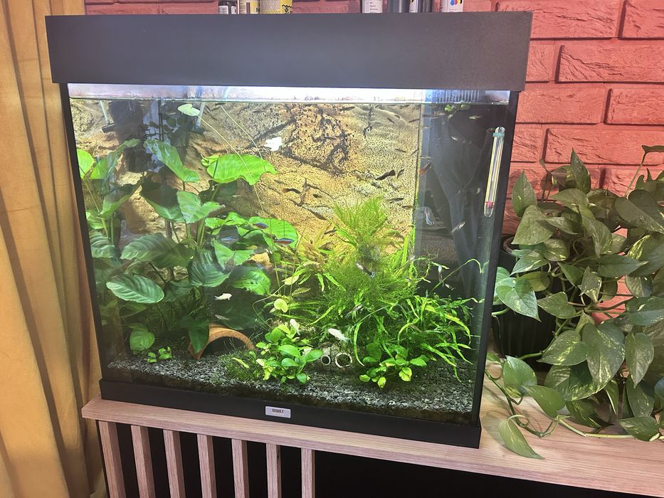 Juwel akwarium 130 litrów