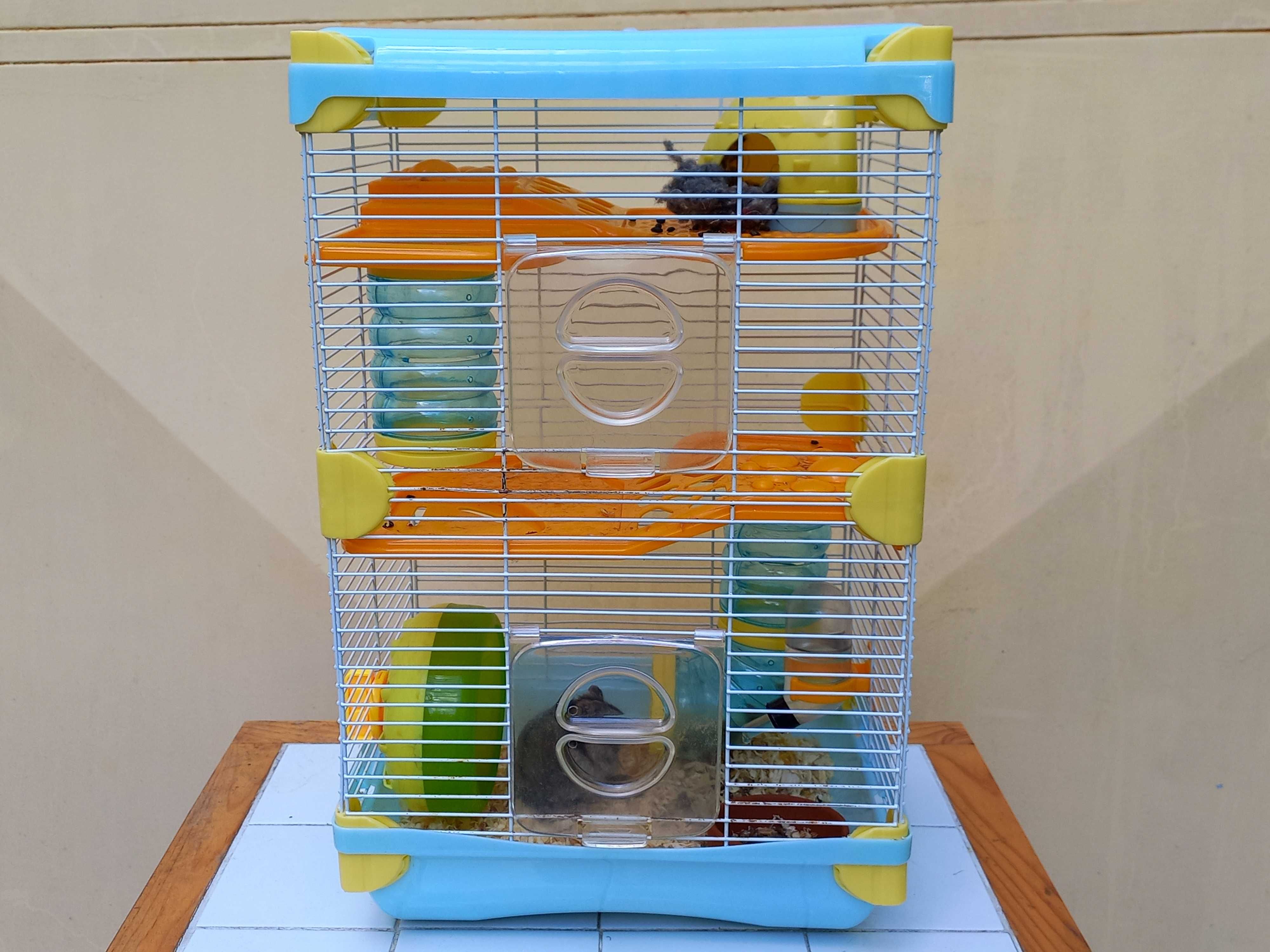 Gaiola Grande Completa com Oferta do Ratinho