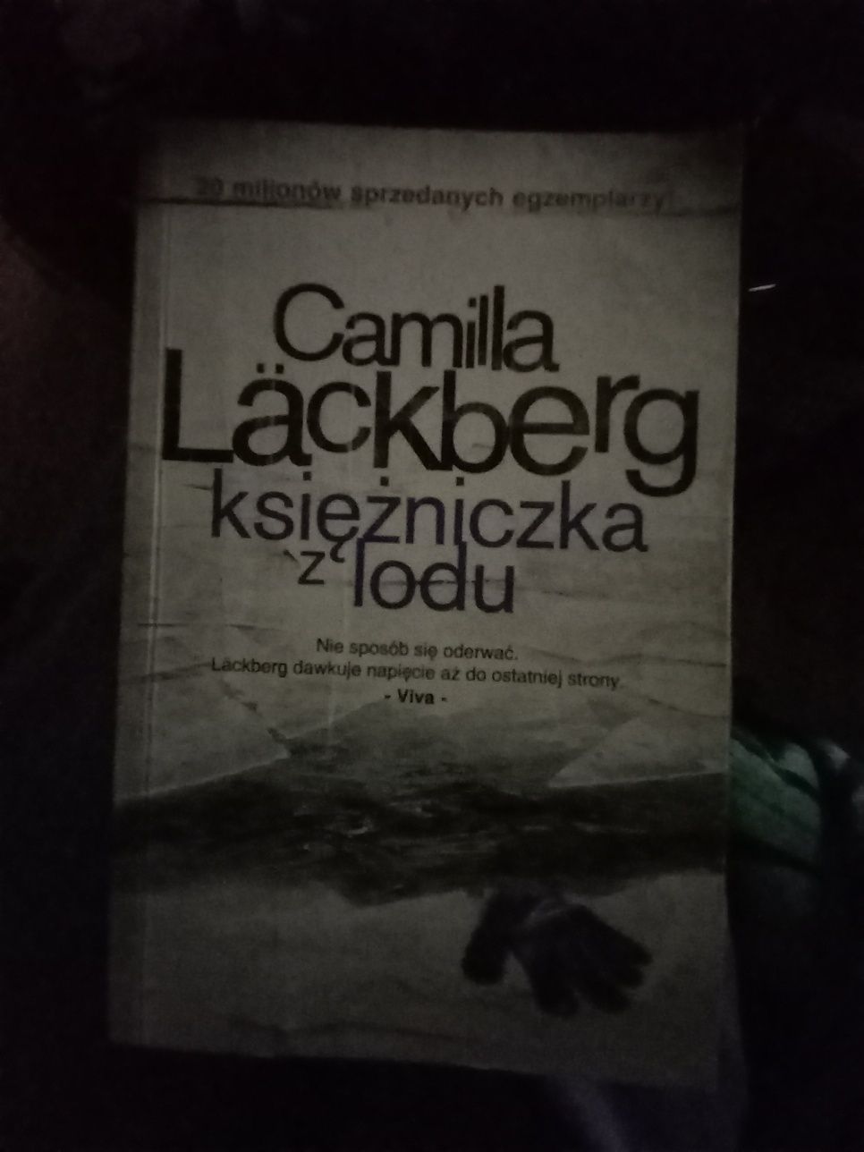 Camilla Läckberg księżniczka z lodu