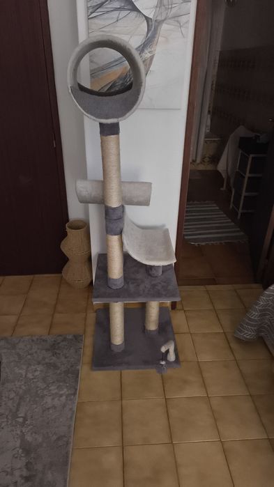 Arranhador gatos
