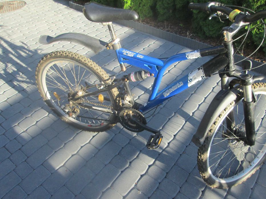 rower damski Caledonia