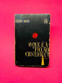 O QUE É A FICÇÃO? Victor Palla