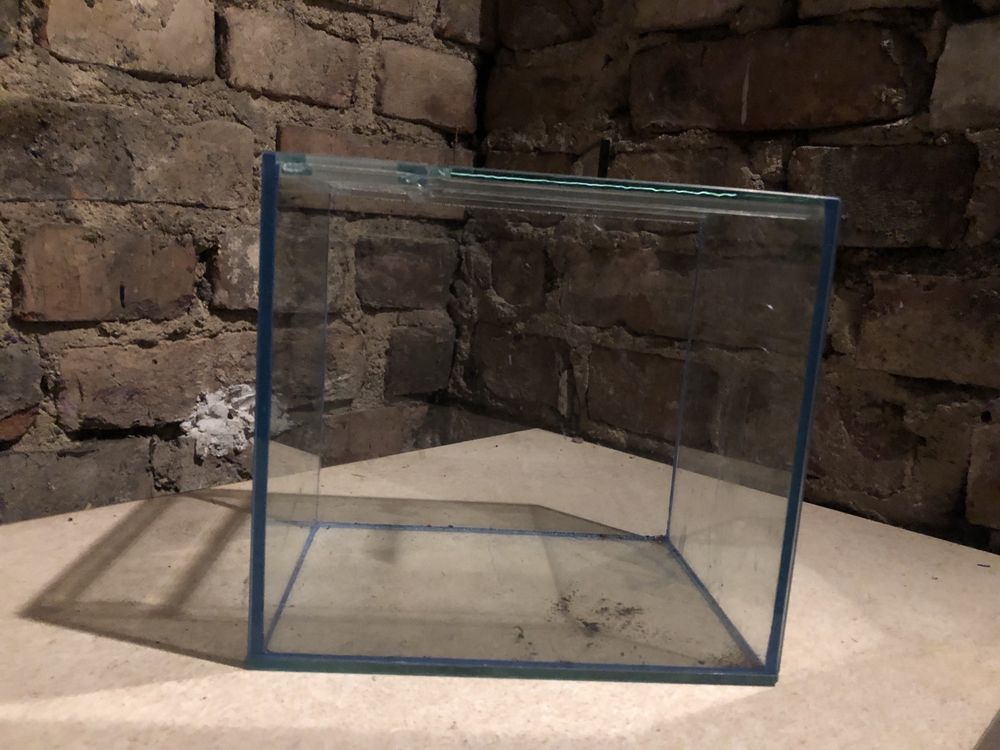 Niewielkie terrarium