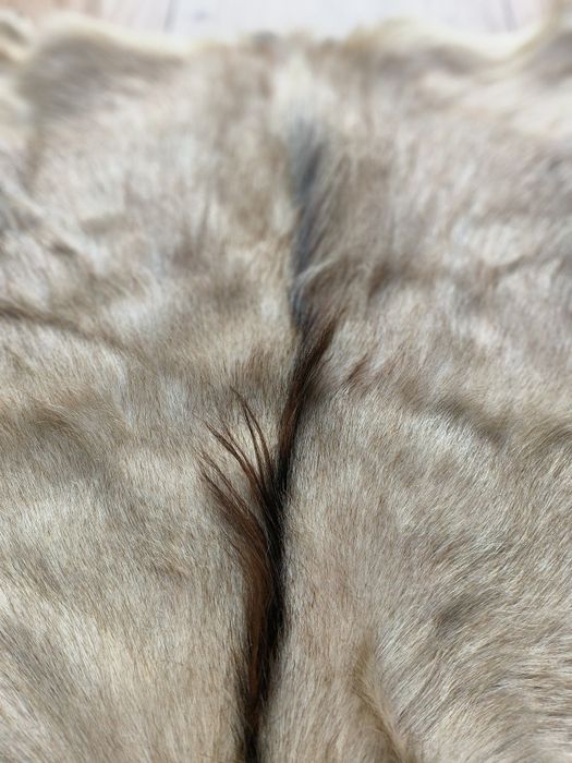 Piękna skóra kozia