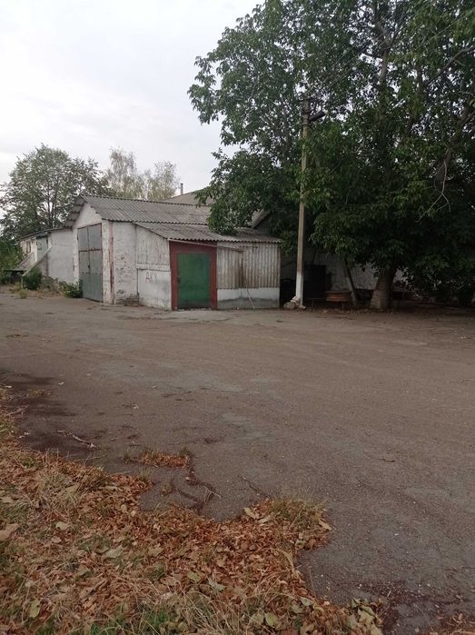 Комплекс  Млин-Олійня в робочому стані