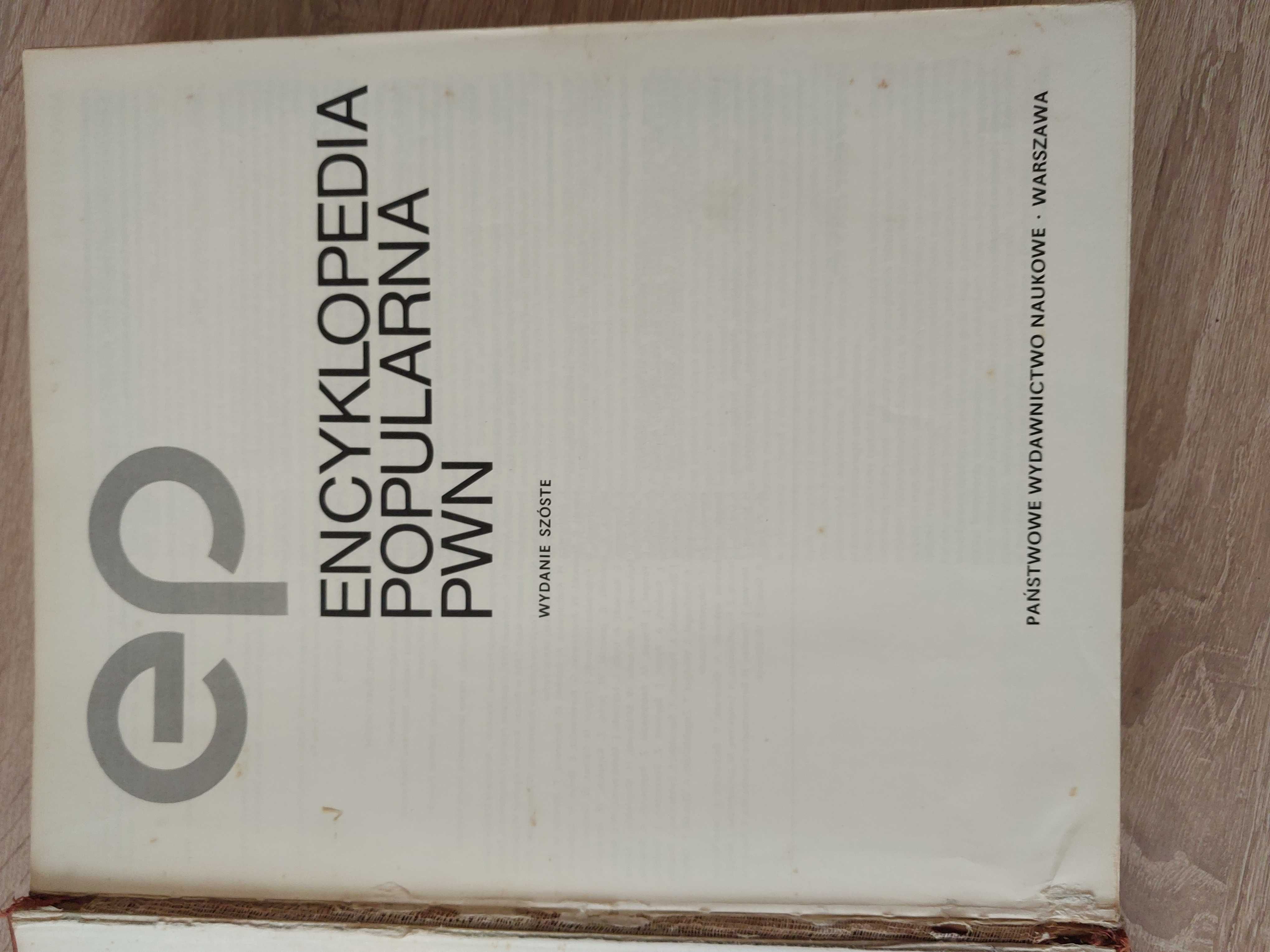 Encyklopedia popularna PWN