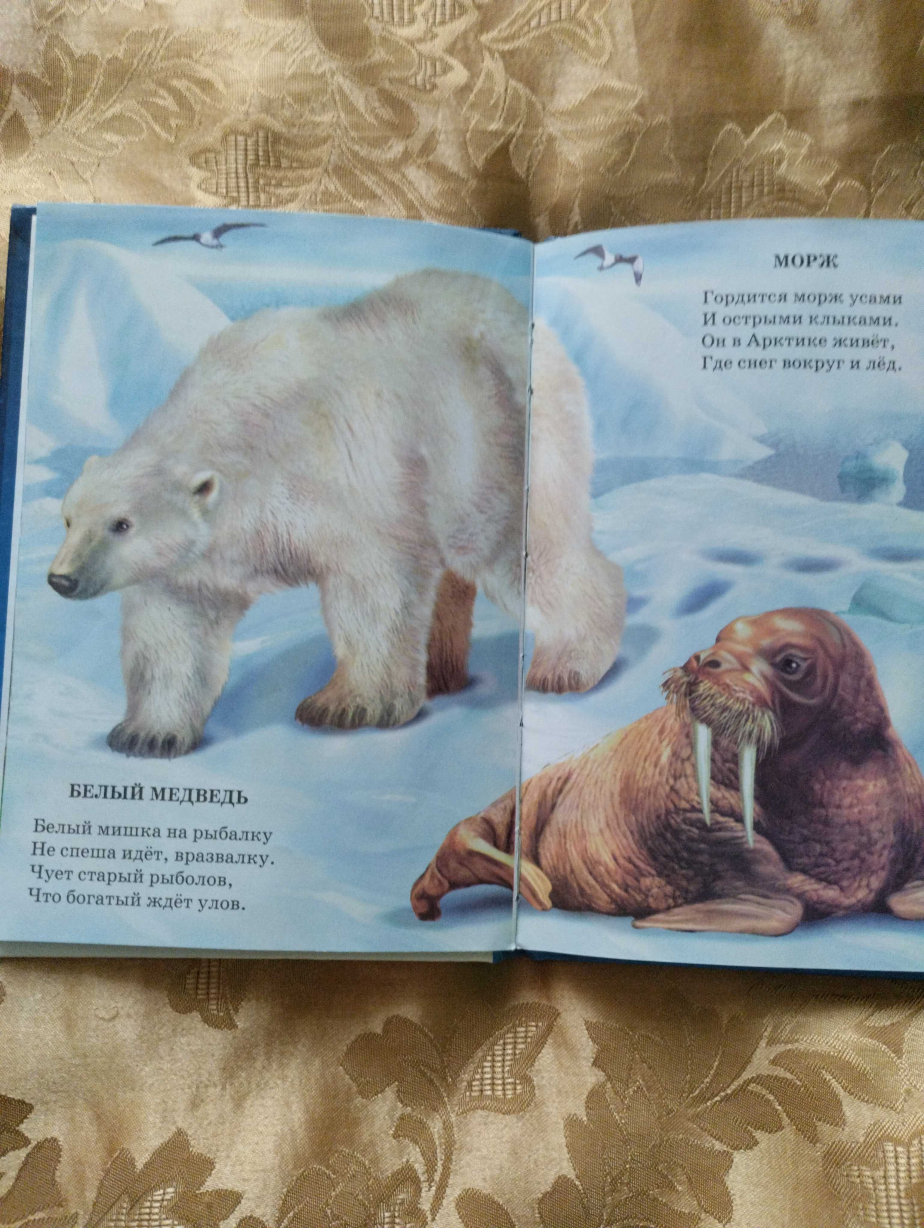 Книжки для малечі