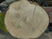 Plaster drewna, 80-105cm