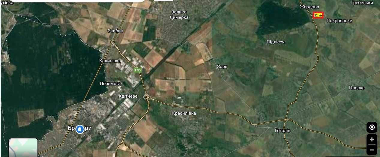 Продам 11 гектарів землі у селі Жердова Броварський р-н