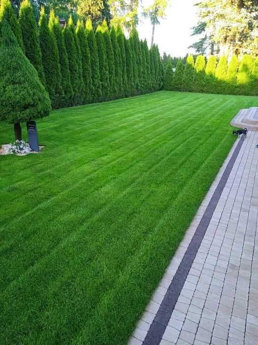 Zakładanie trawników