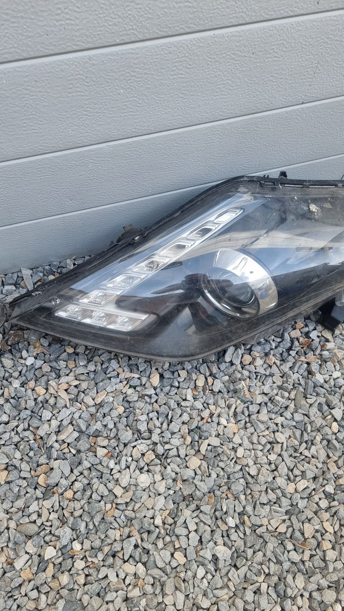Laguna coupe gt lampa xenon led polift