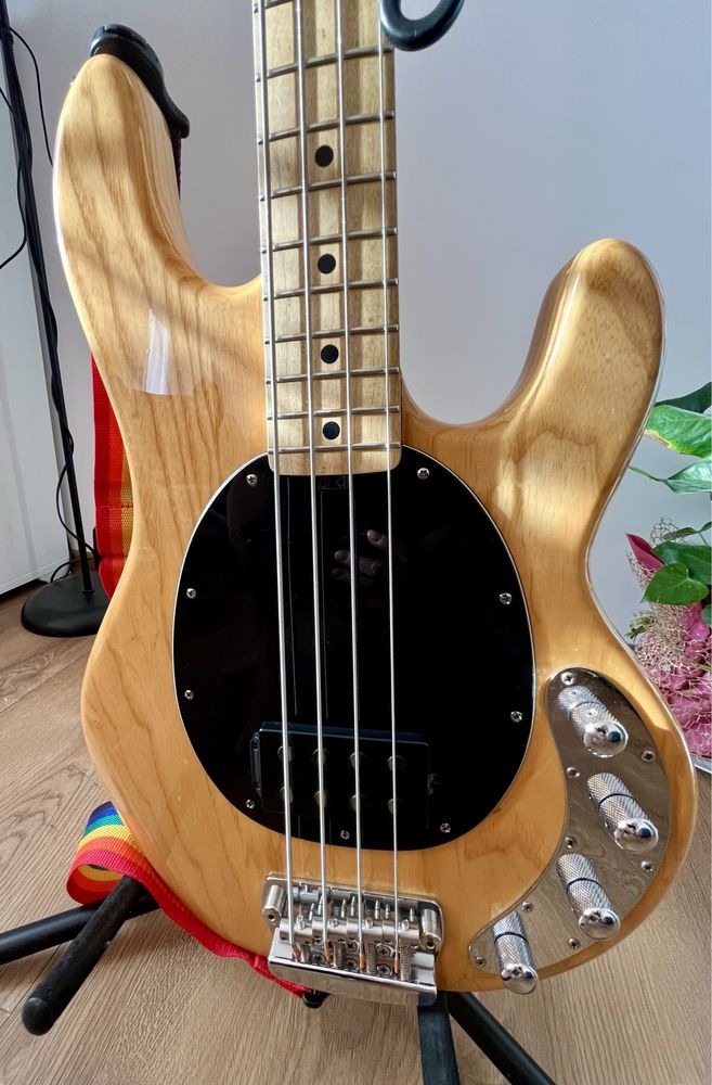 Gitara basowa bas Sterling Music Man Ray34 Natural Ash 4 strunowy