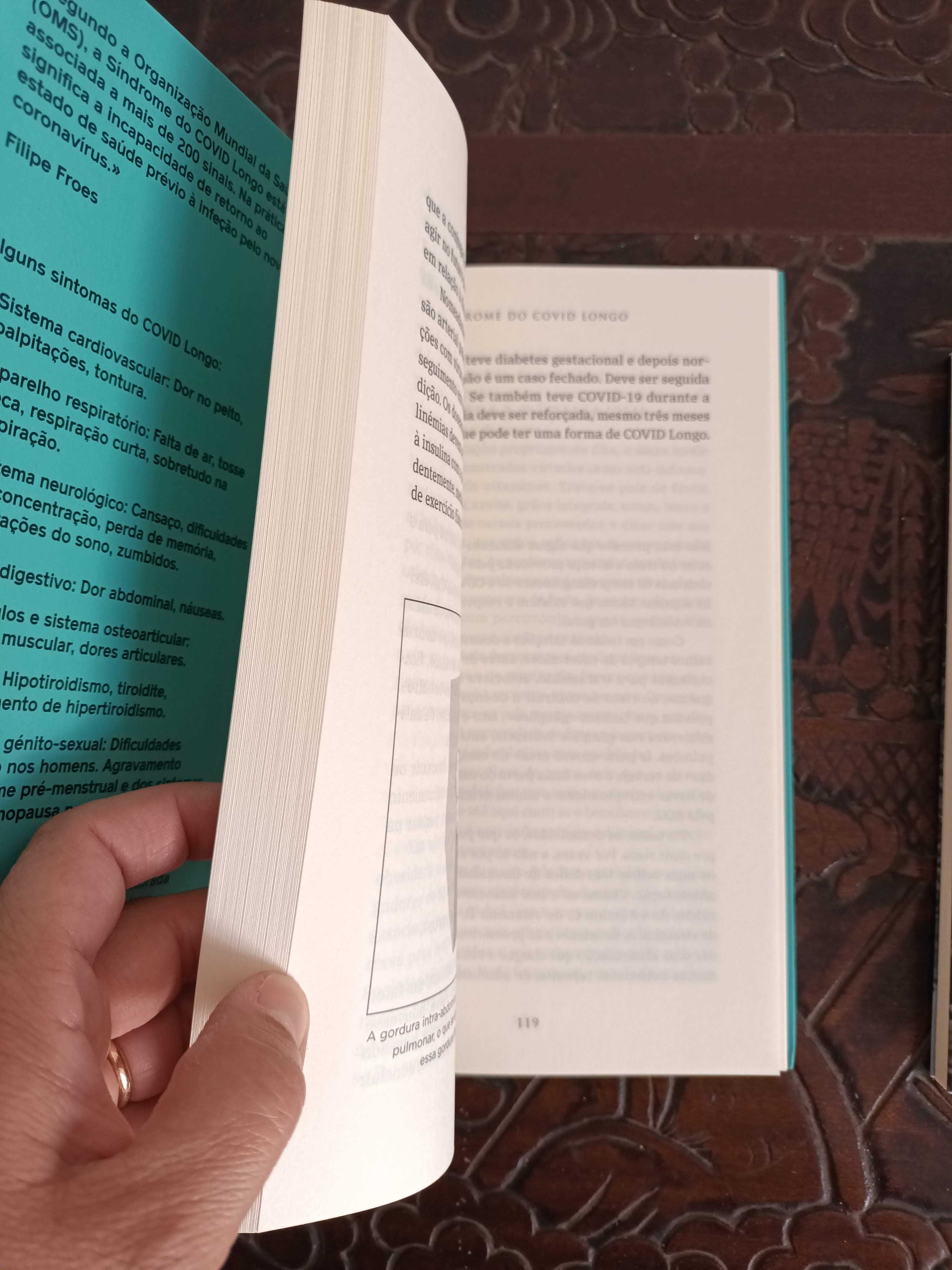 Livros sobre Covid - Isabel do Carmo e Pedro Strecht
