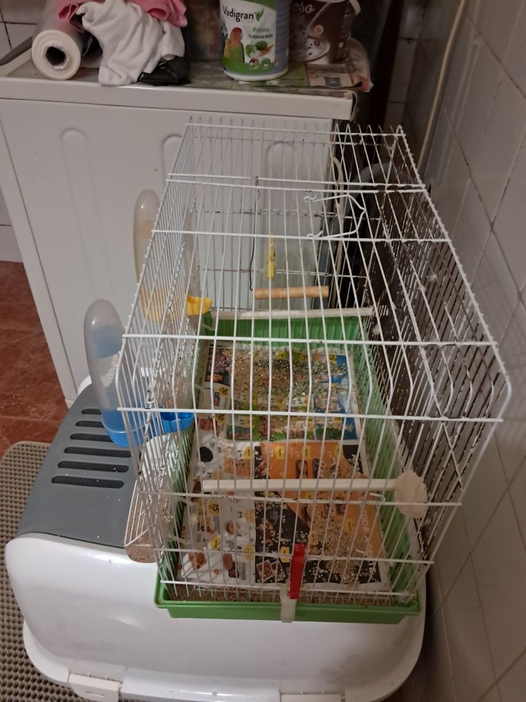 Gaiola de aves como nova