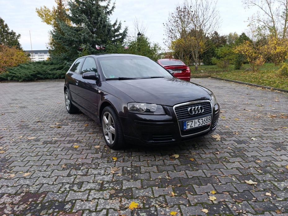 Audi A3 Lift 1.9 TDI BXE Klima Elektryka Jasne Wnętrze Alufelgi